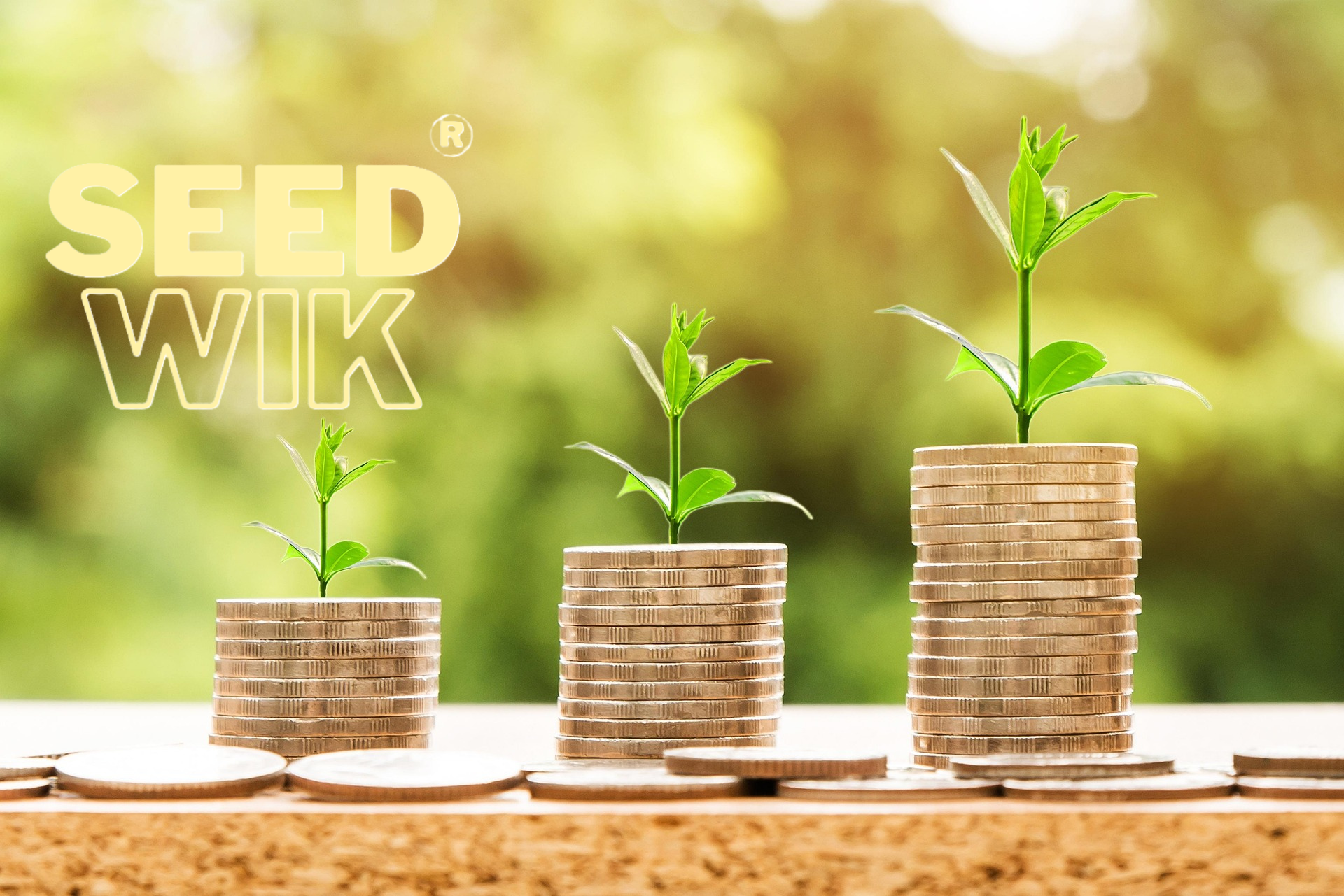 Angel Investing