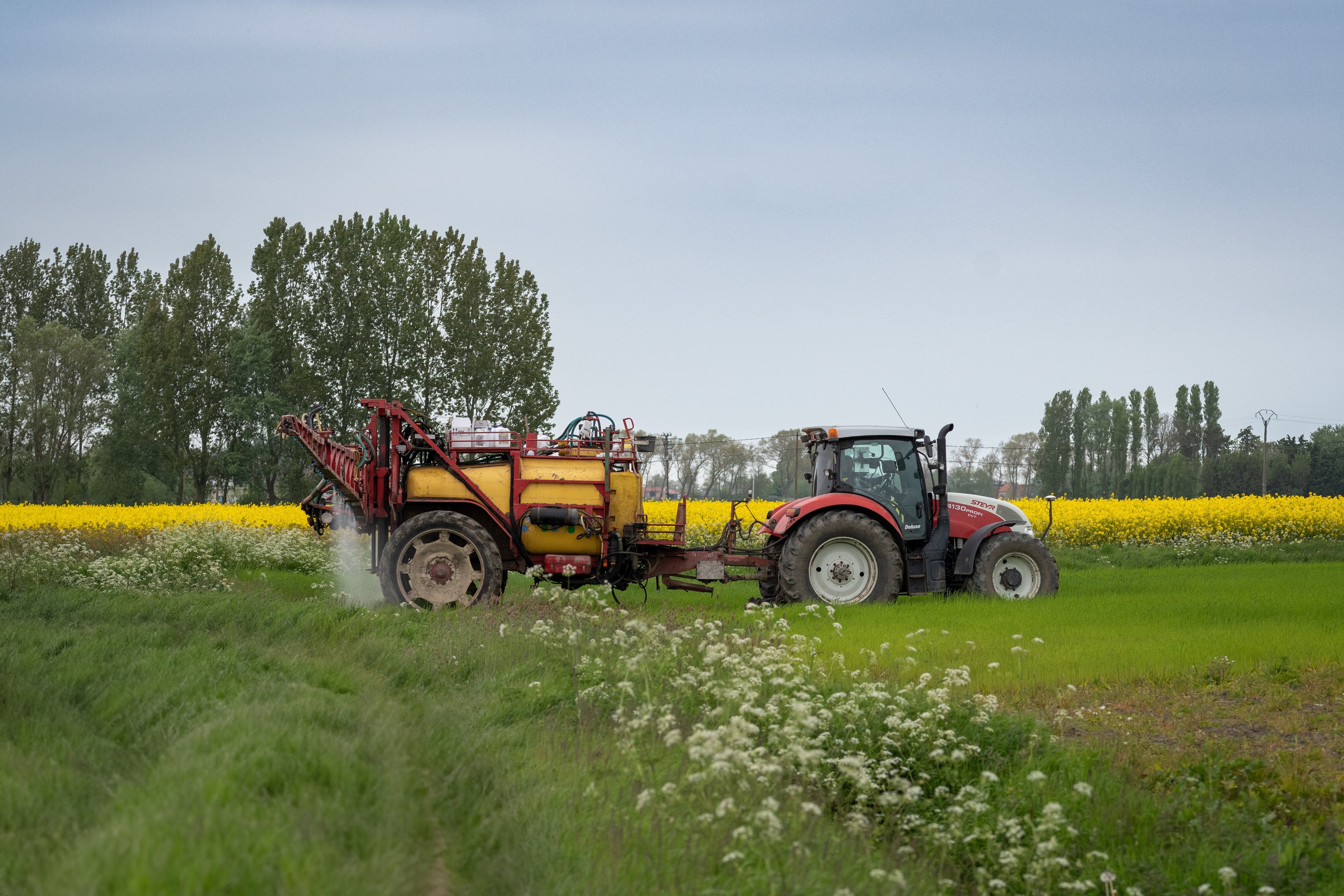 Evening event